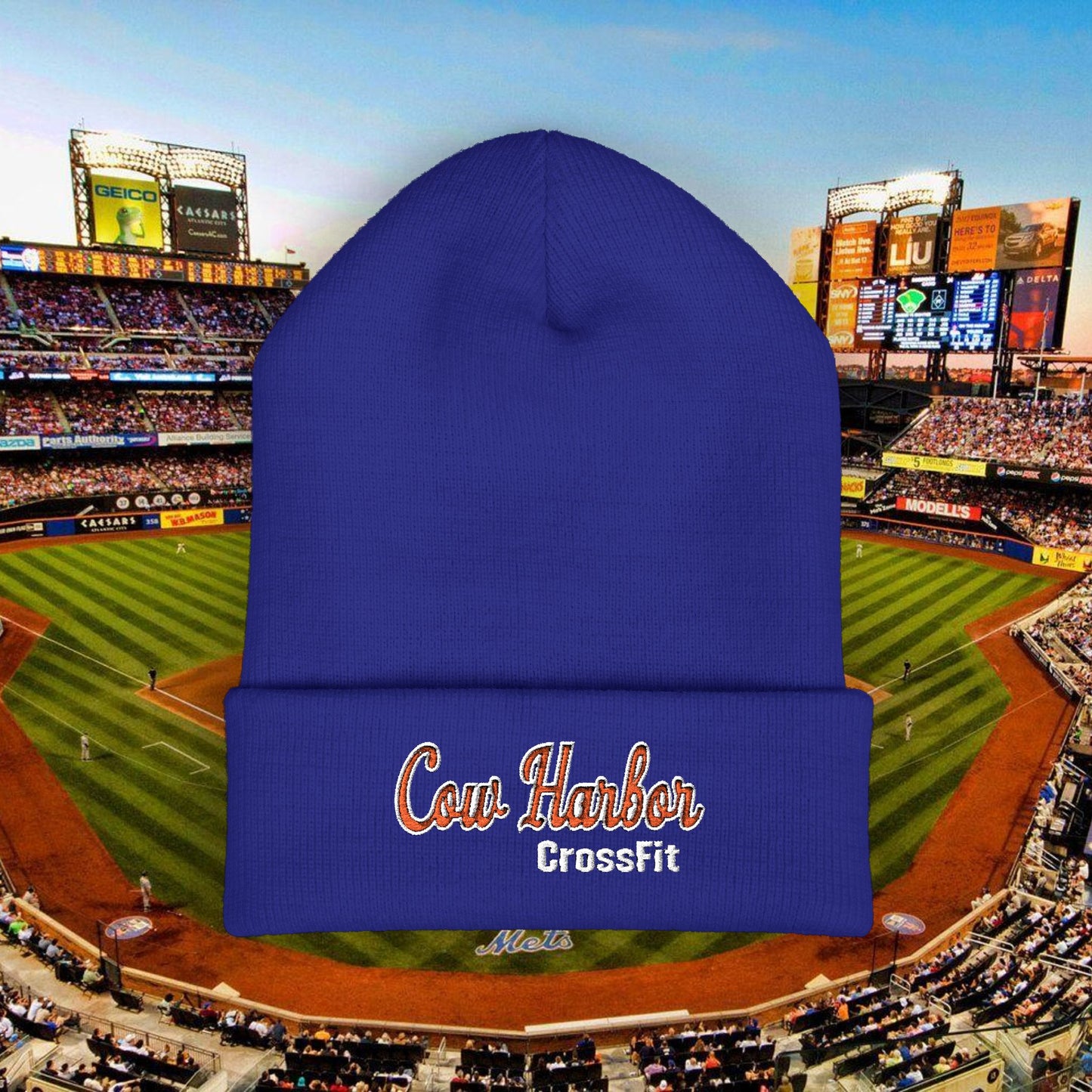 Embroidered CHCF Beanie