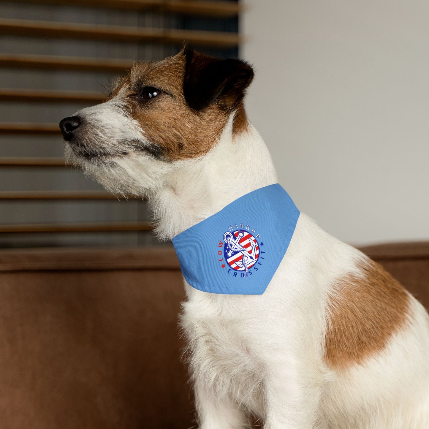 CHCF 'Merica Dog Bandana