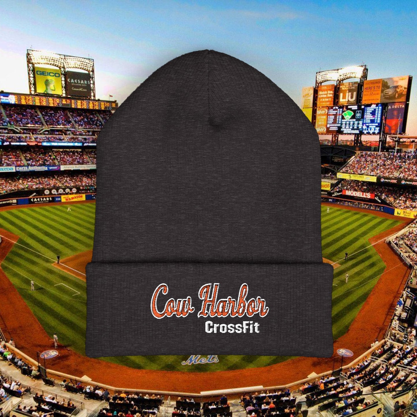 Embroidered CHCF Beanie