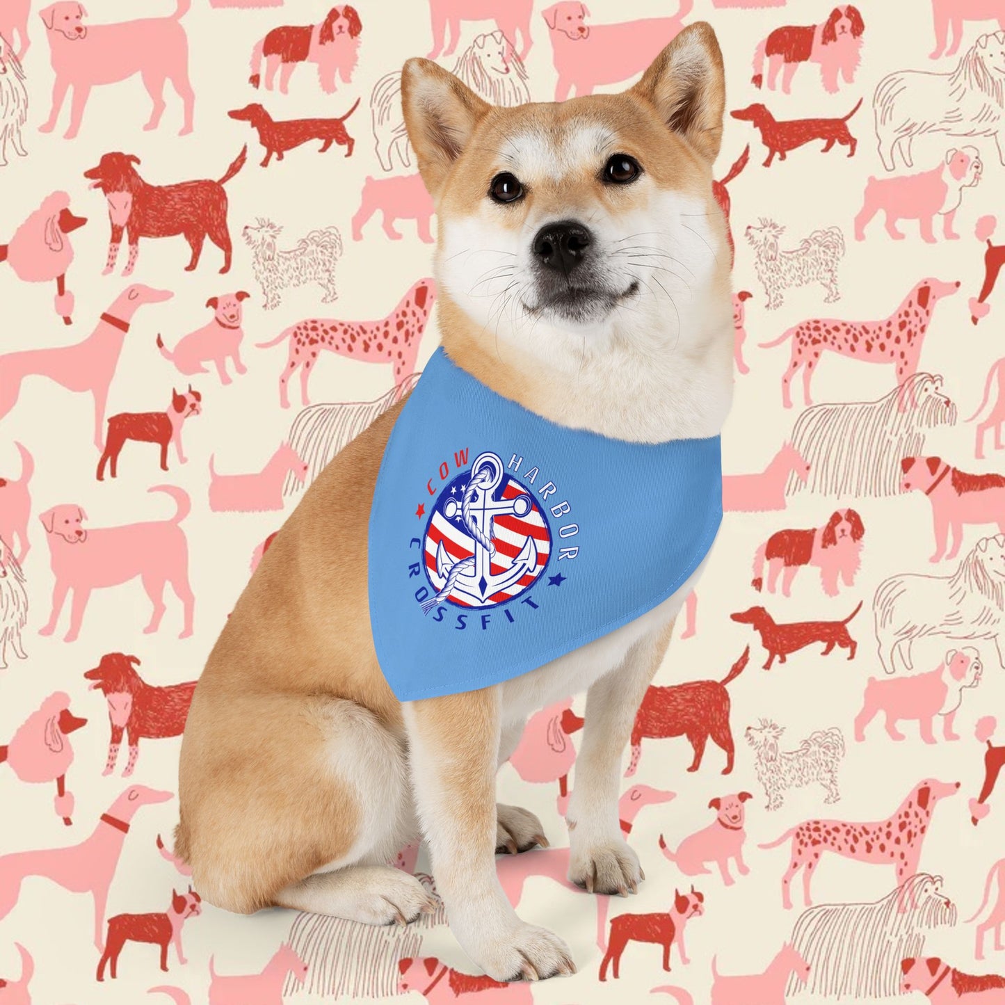 CHCF 'Merica Dog Bandana