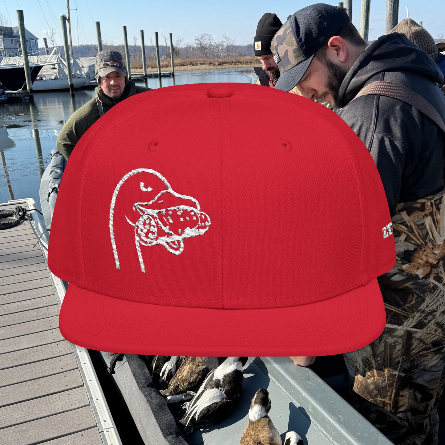 LTD Snapback