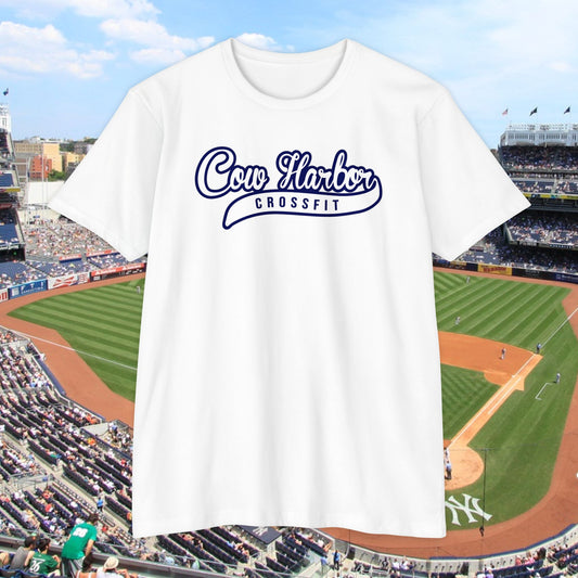 CHCF Homerun Hitter