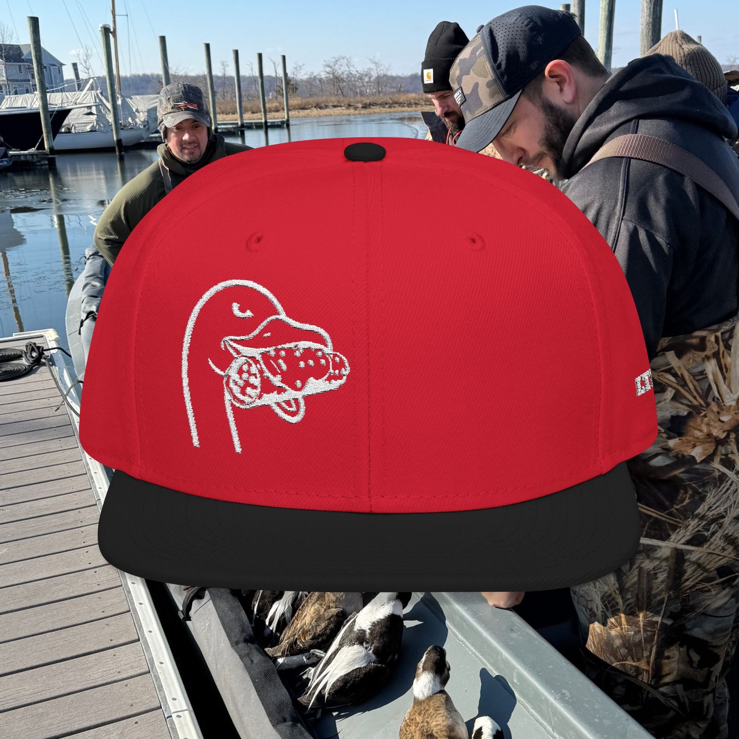 LTD Snapback