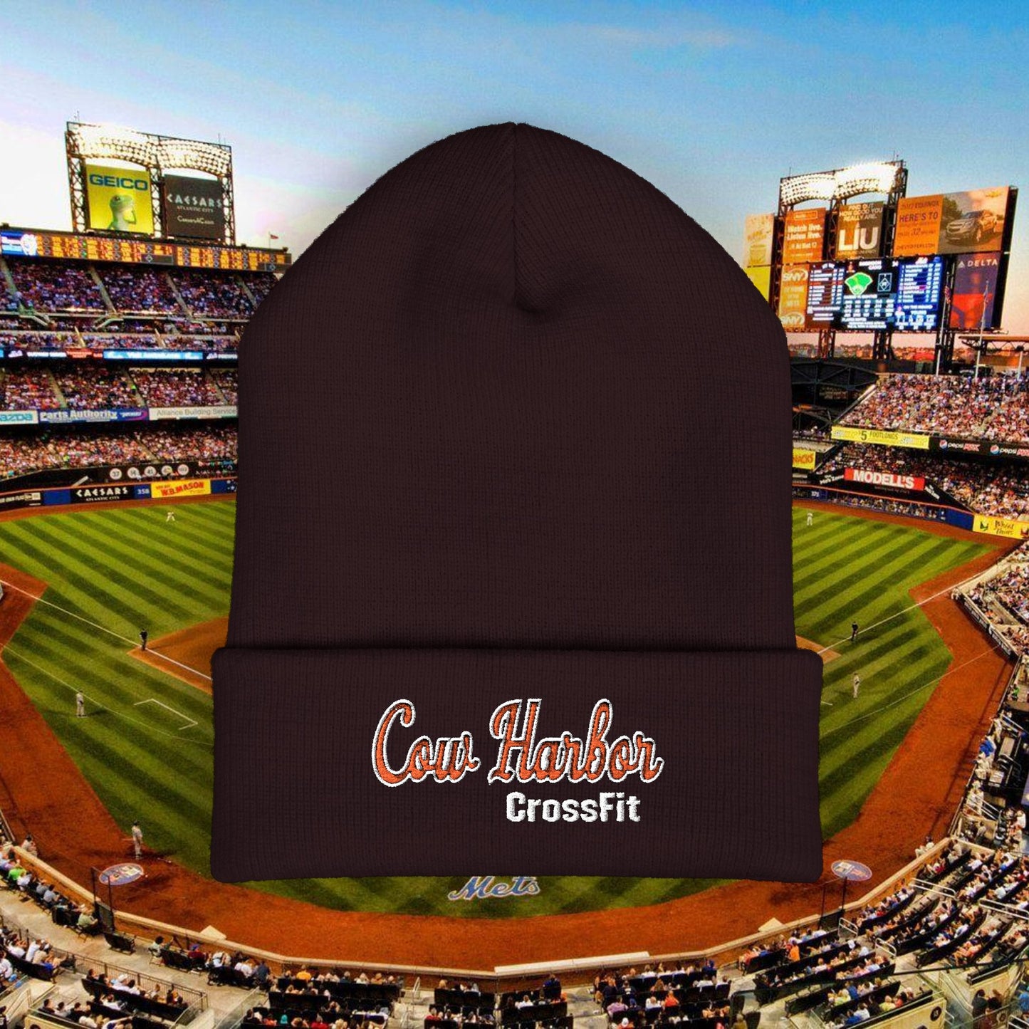 Embroidered CHCF Beanie