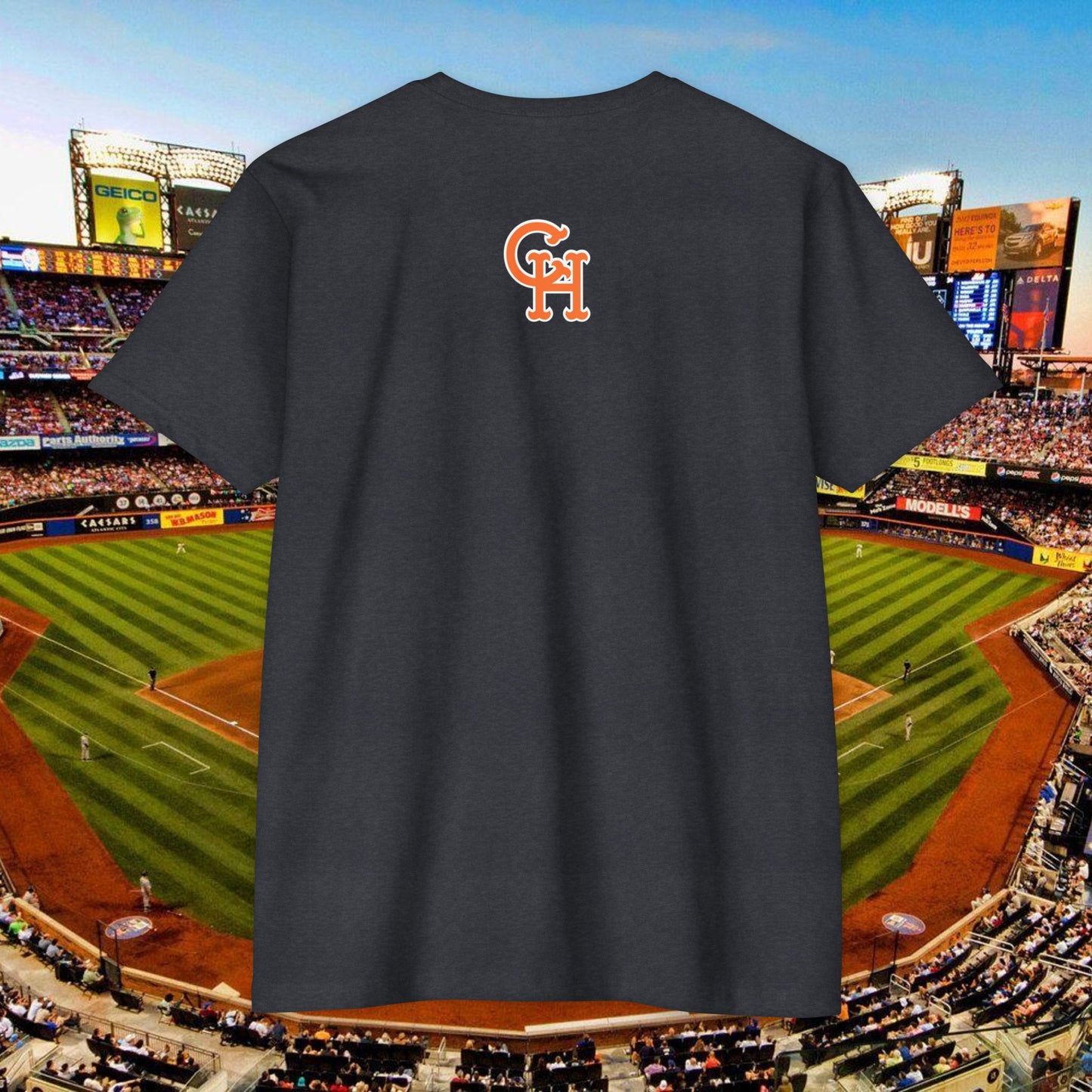 CHCF Grand Slam Hitter