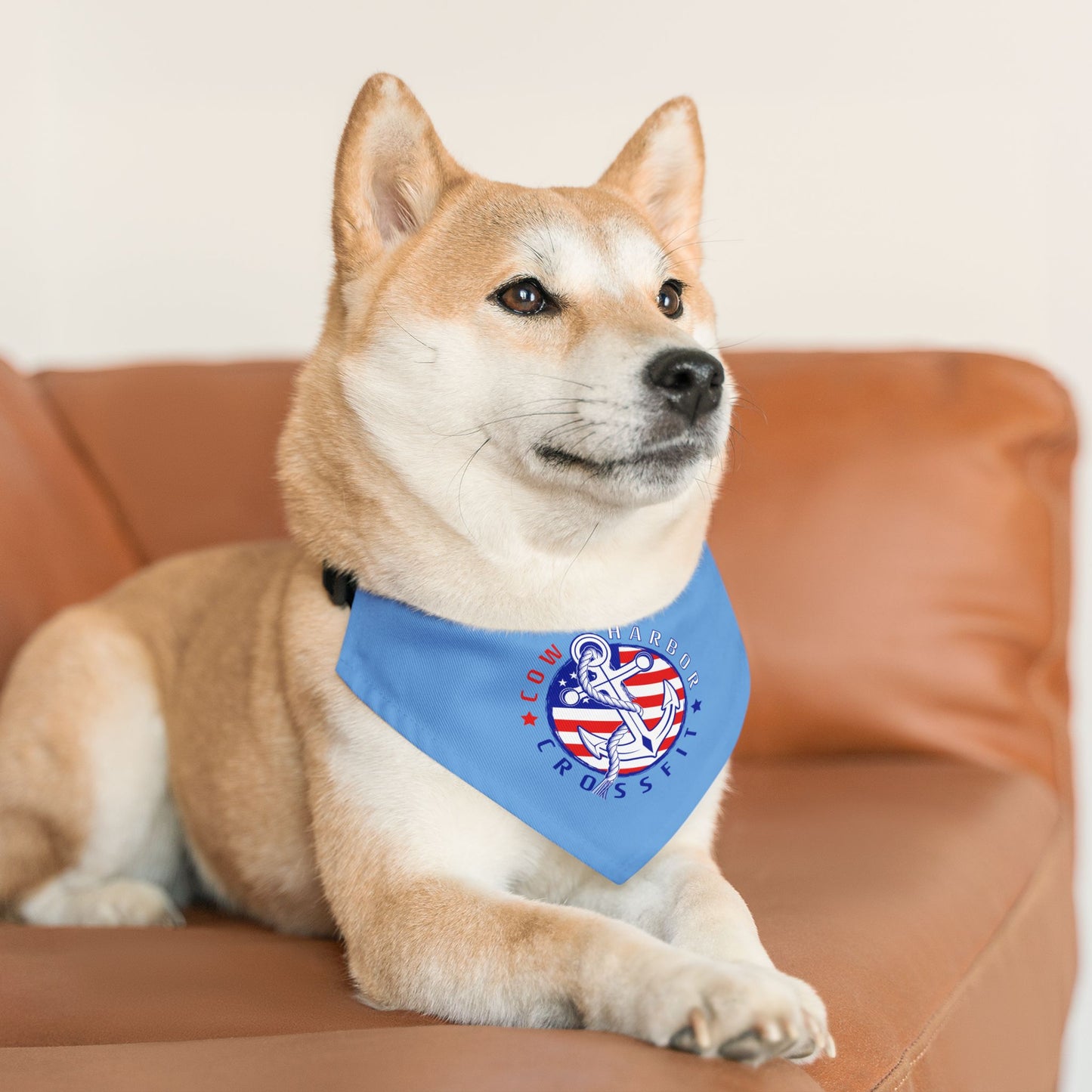 CHCF 'Merica Dog Bandana