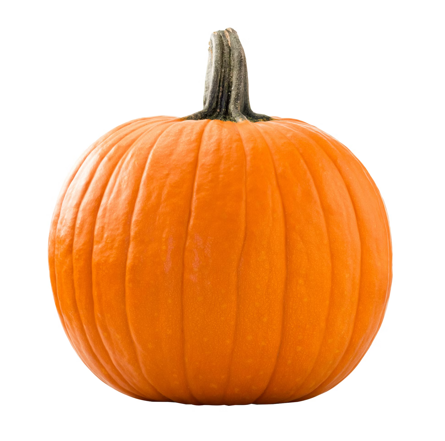 Pumpkin To Carve (Click & Read Details)